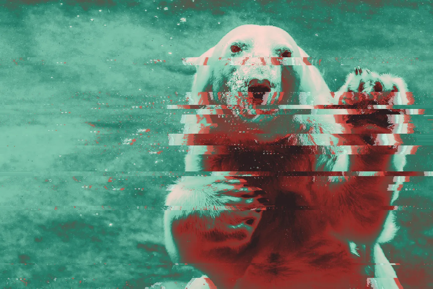Polar bear swimming underwater in teal water, one paw raised against the glass