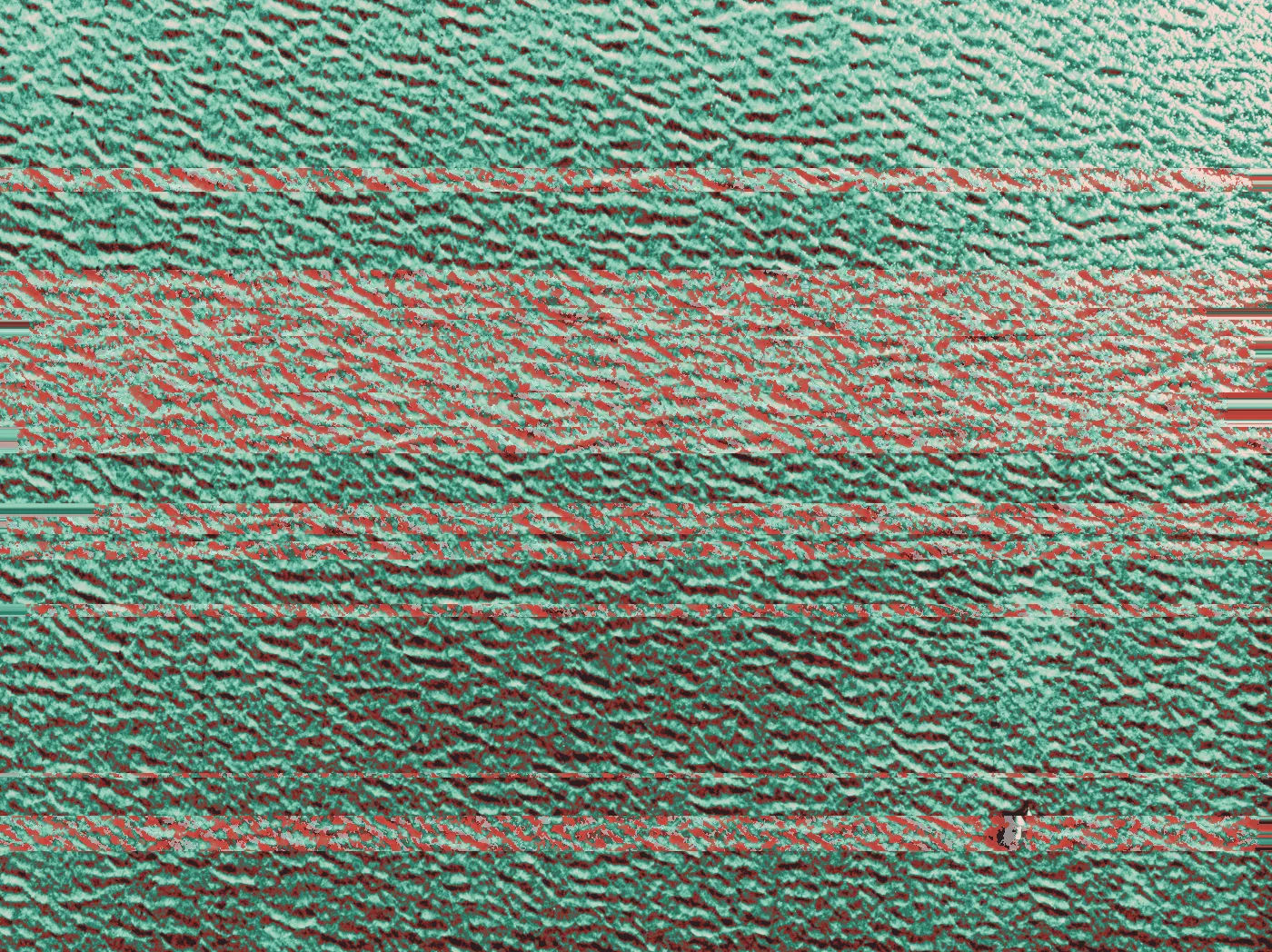 Rippled tan sand or mud surface seen from above with one small red speck