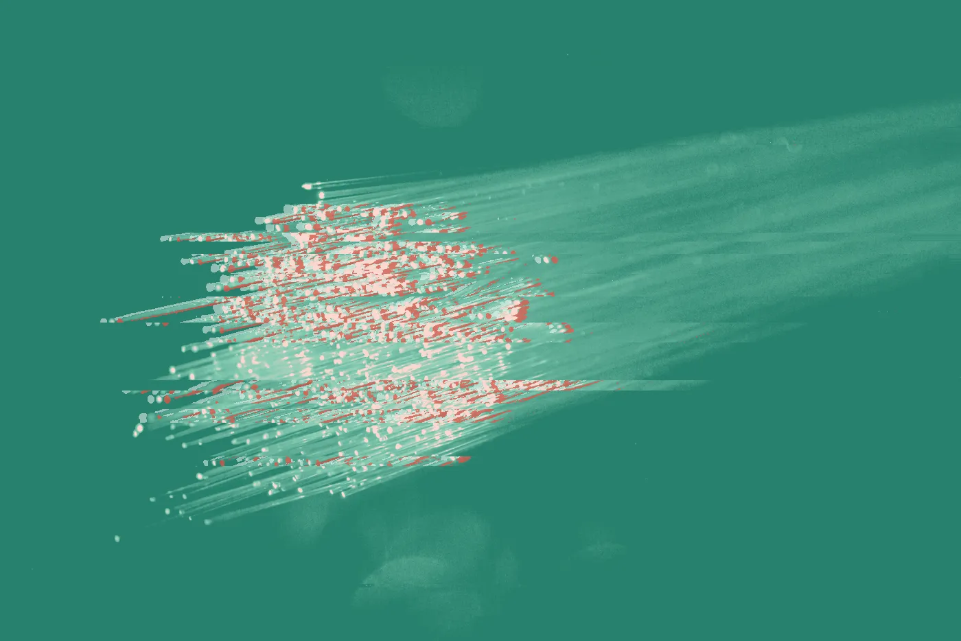 Bundle of fibre optic strands glowing blue at their tips in the dark